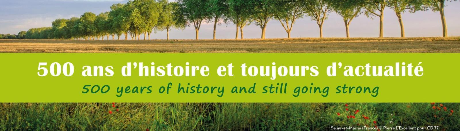 Panneaux Allées dArbres 1495x720 mm12 d