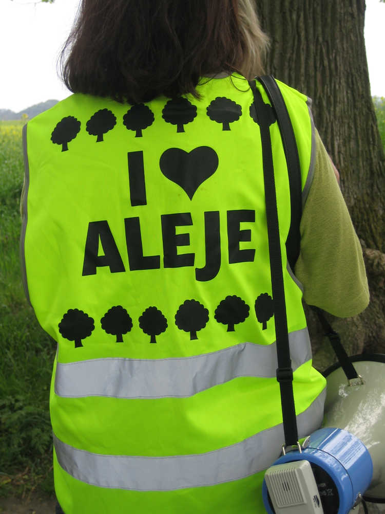 I love aleje