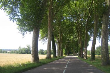 Yonne RD953 ombre 380x250