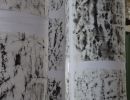 dsc09763 d