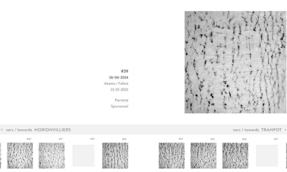 kinexpo   catalogue constance   v5   apercu page24 kinexpo   catalogue constance   v5   apercu page24