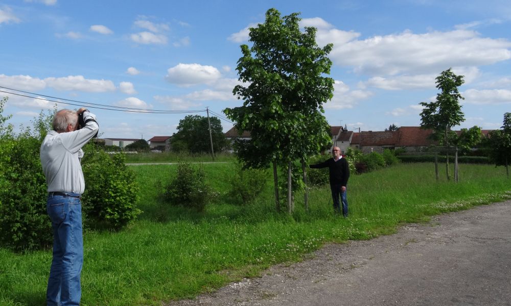 dsc08790 d dsc08790 d