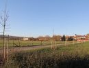 moncel ligne tilleuls 20.1  