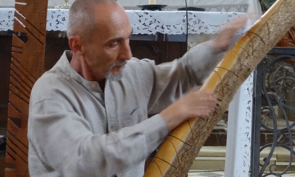 dsc09652 d dsc09652 d