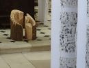 dsc09743 d
