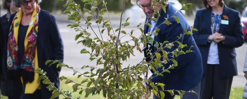 plantation morlon plantation morlon