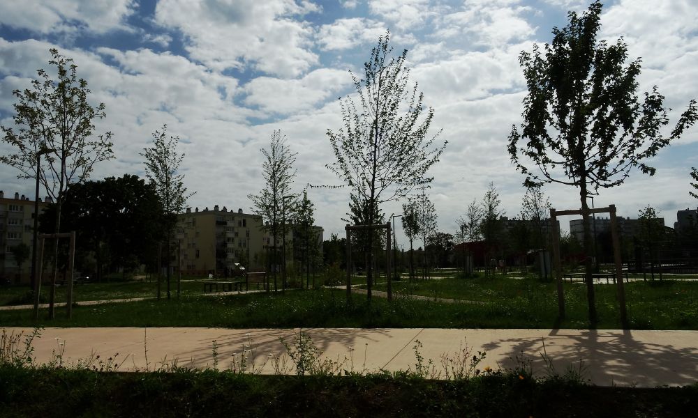 dsc07655 dsc07655